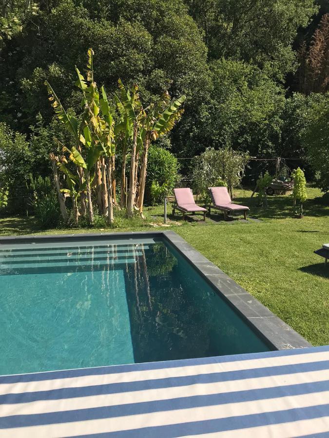 Le Pain De Lune Gite Et Chambre D'Hotes Avec Piscine Bourg-sur-Gironde Экстерьер фото